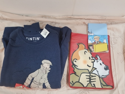Pack sudadera maleta + bolsa pequeña plástico y fig. plana