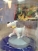 Milú con un hueso, 5 cm., pvc colec. francesa Milú con un hueso, 5 cm., pvc colec. francesa
